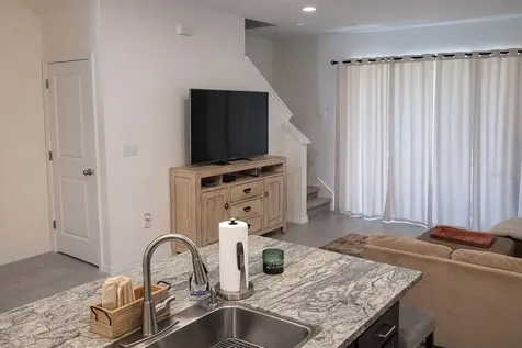 33066 Tulip Petal Lane Wesley Chapel FL 33545