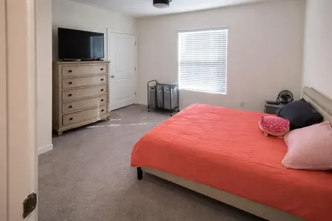 33066 Tulip Petal Lane Wesley Chapel FL 33545