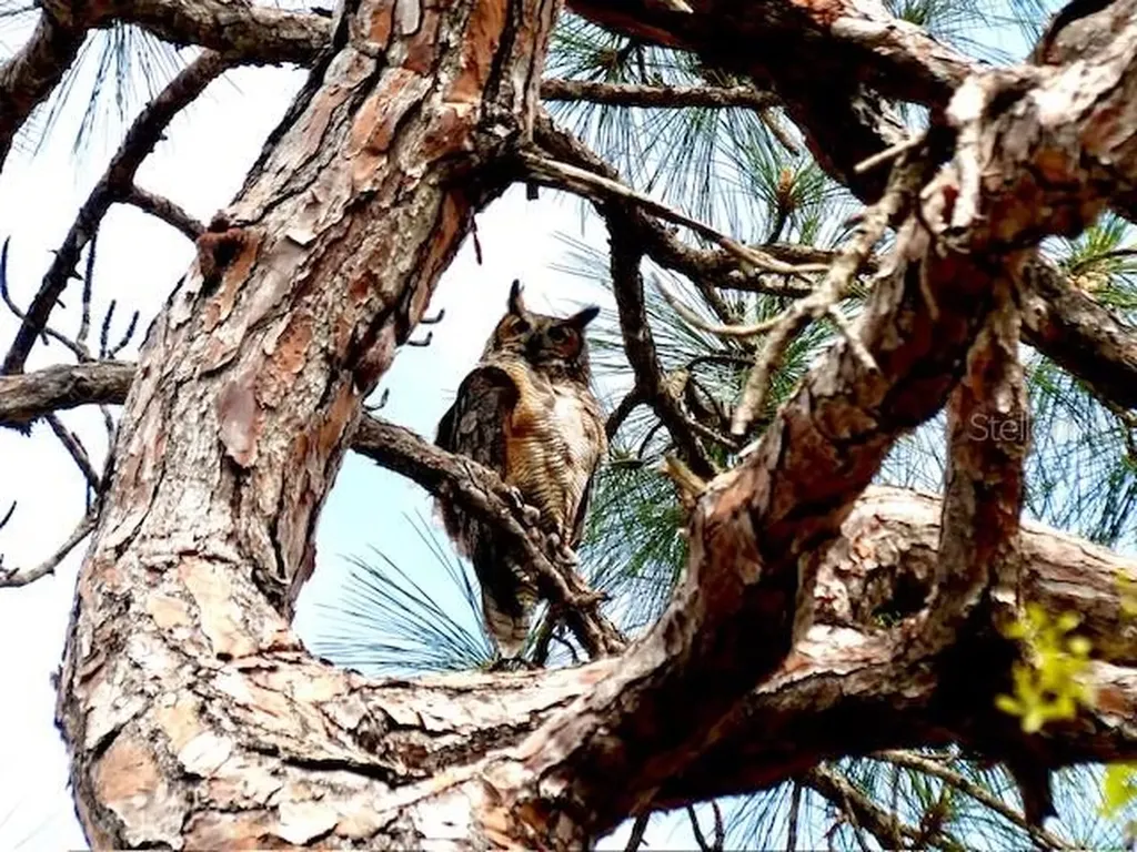 2700 Bayshore Boulevard Dunedin FL 34698