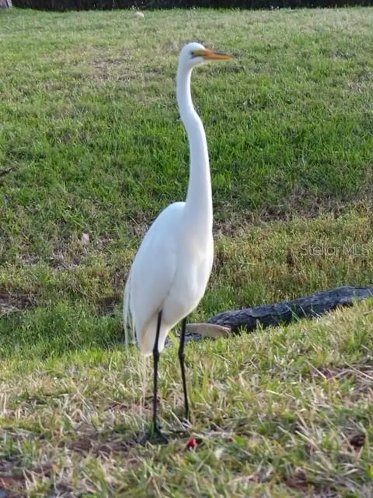 2700 Bayshore Boulevard Dunedin FL 34698