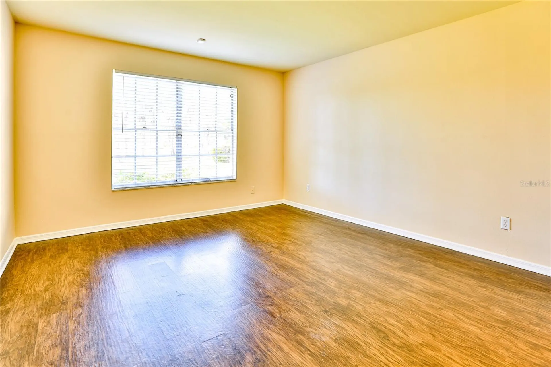 10374 Carrollwood Lane Tampa FL 33618