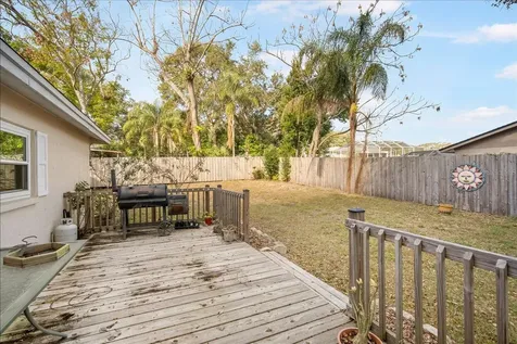 1016 Lady Guinevere Drive Valrico FL 33594