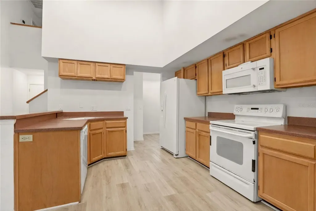 10402 Ashley Oaks Drive Riverview FL 33578