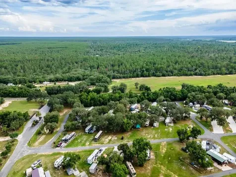 15991 NE 243rd Place Road Fort Mc Coy FL 32134