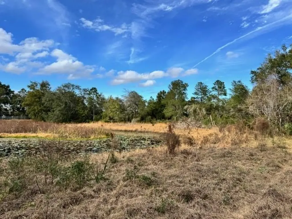 195 Lake Molly Avenue Deland FL 32724