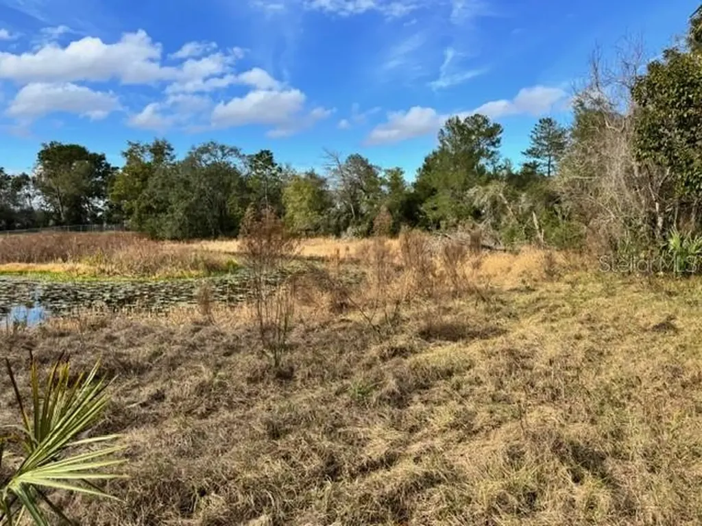 195 Lake Molly Avenue Deland FL 32724