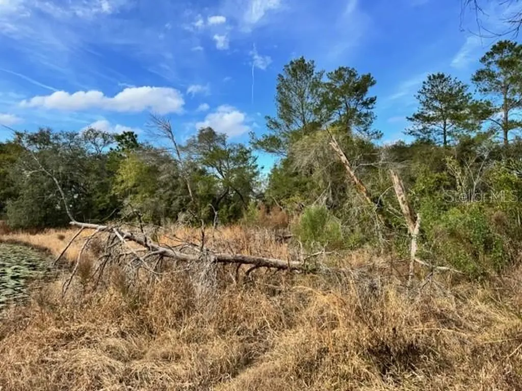 195 Lake Molly Avenue Deland FL 32724