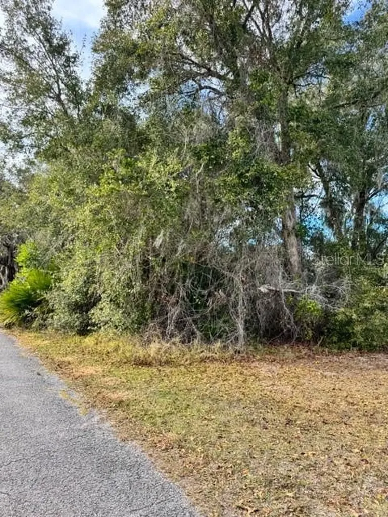 195 Lake Molly Avenue Deland FL 32724