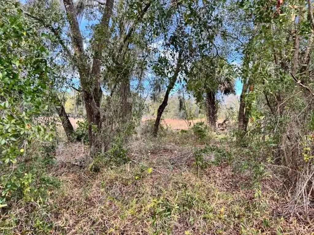 195 Lake Molly Avenue Deland FL 32724
