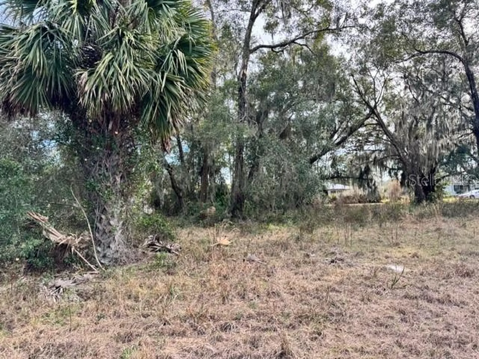 195 Lake Molly Avenue Deland FL 32724
