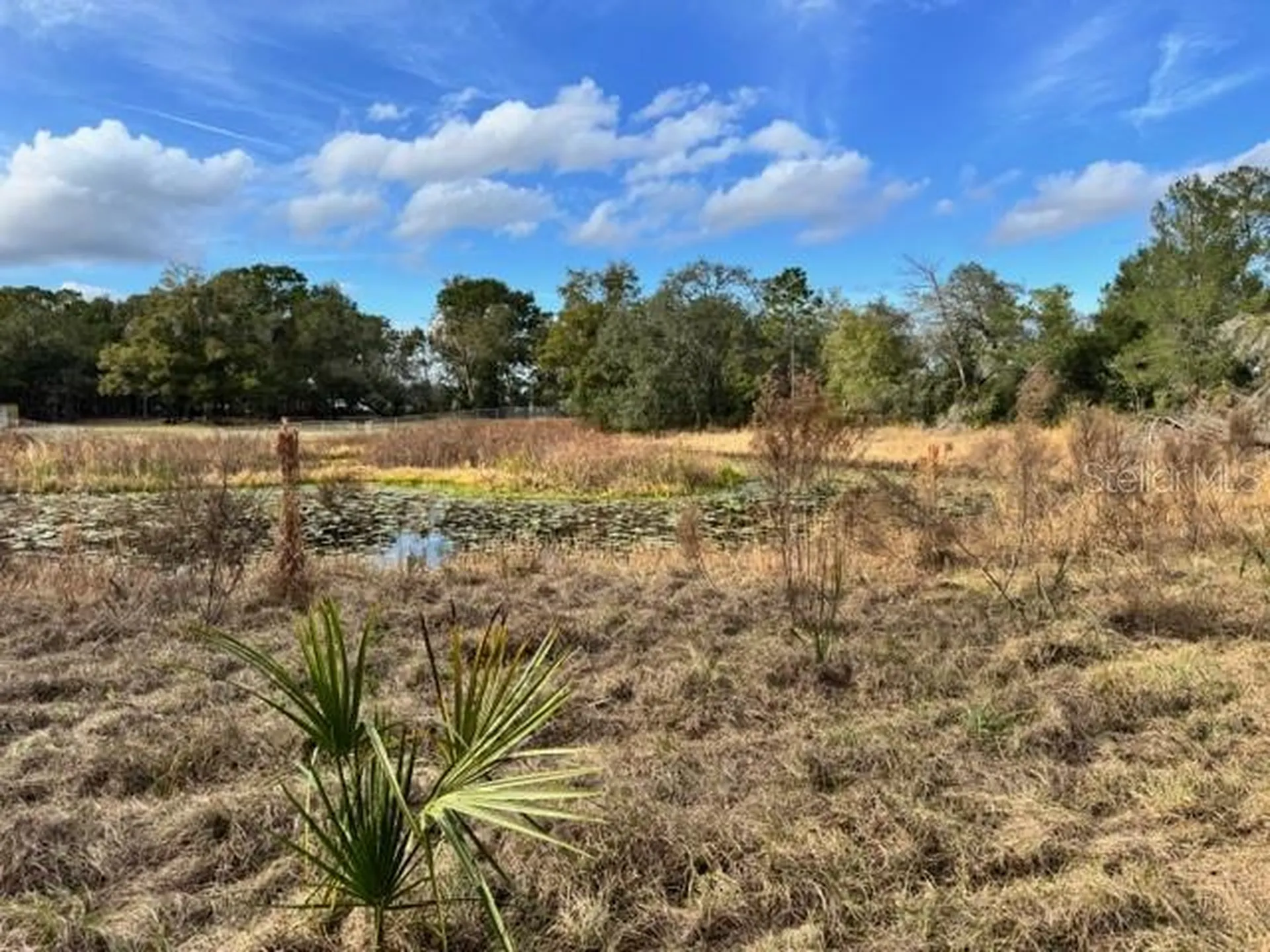 195 Lake Molly Avenue Deland FL 32724