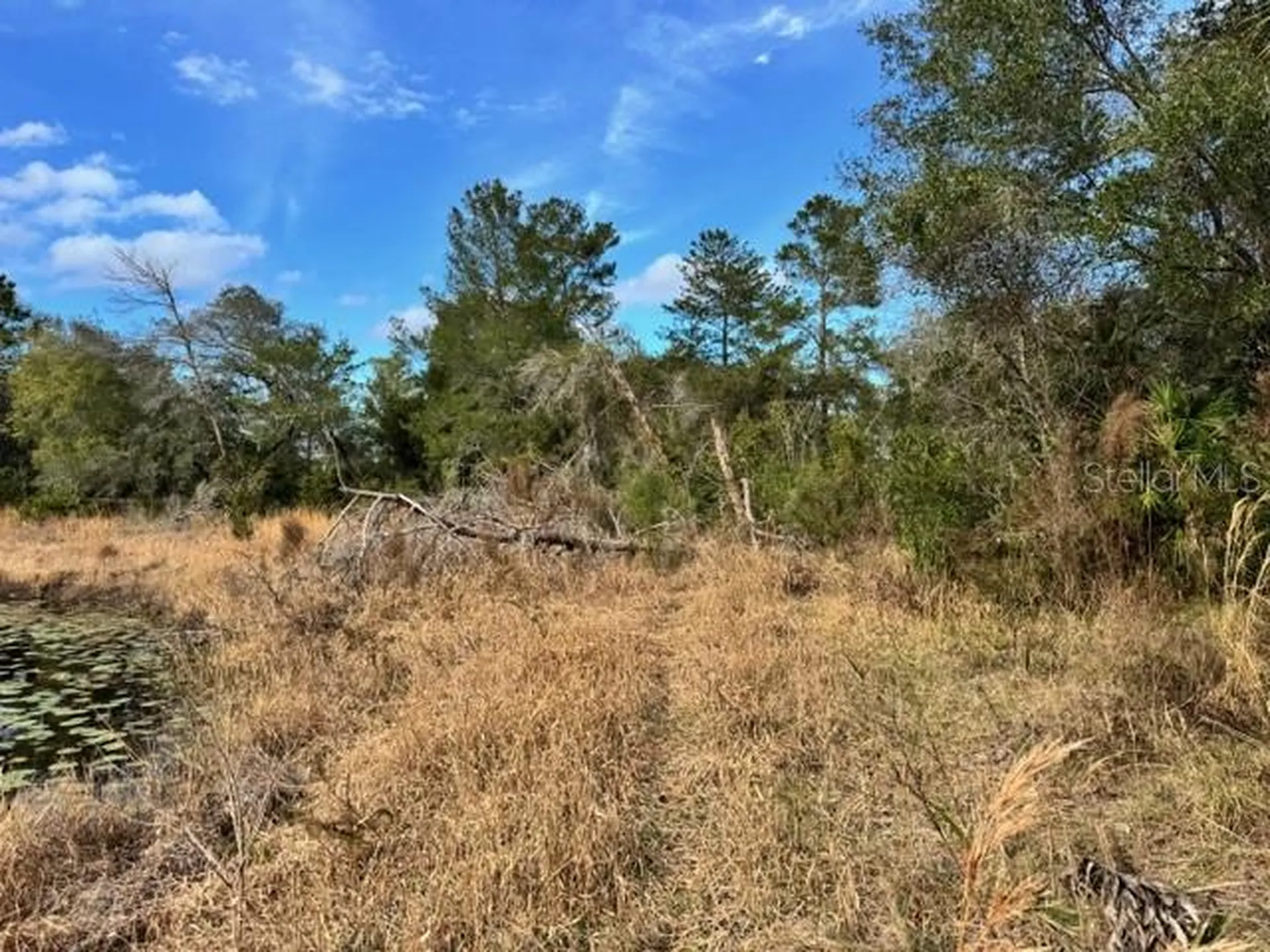 195 Lake Molly Avenue Deland FL 32724