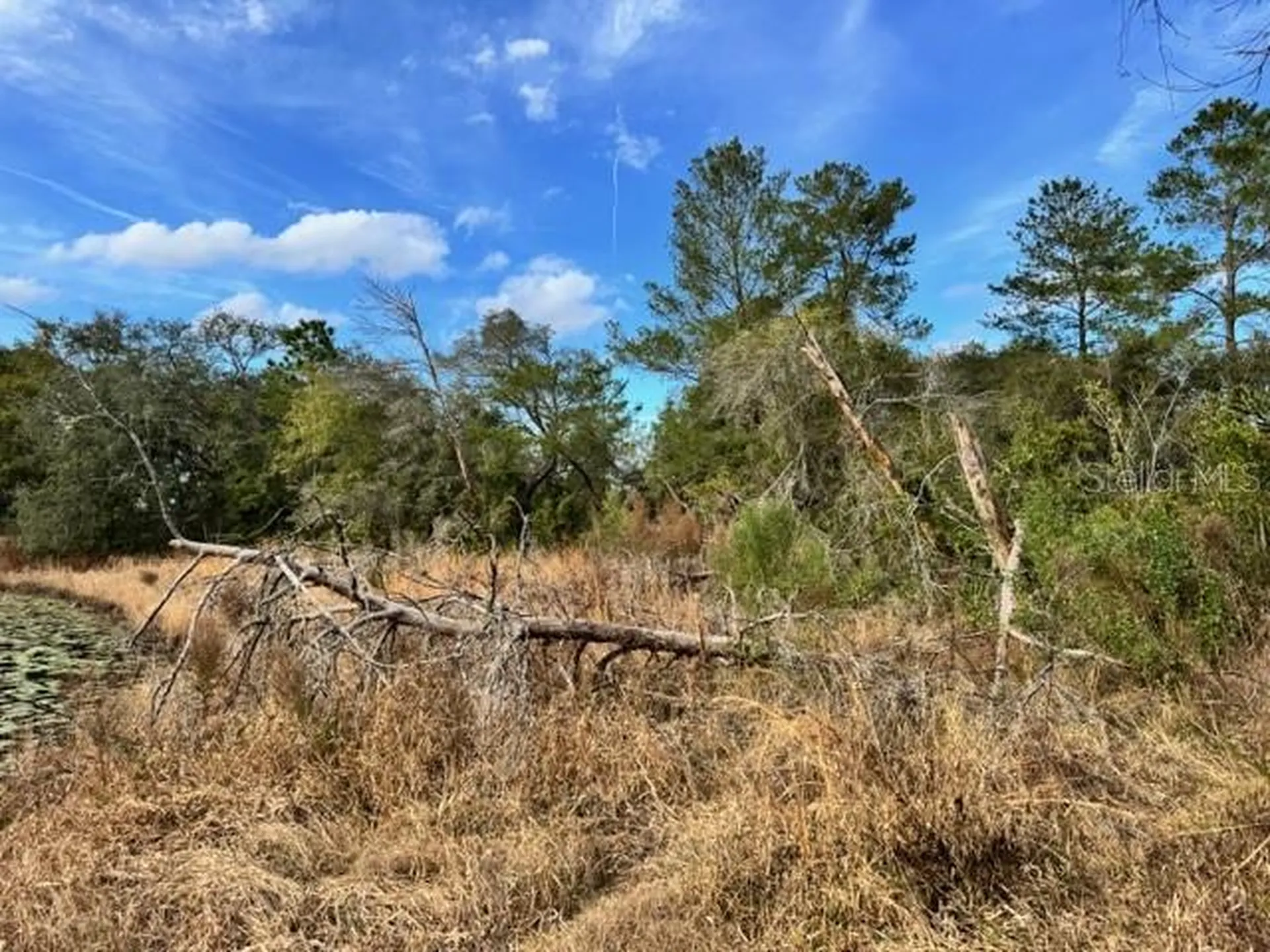 195 Lake Molly Avenue Deland FL 32724