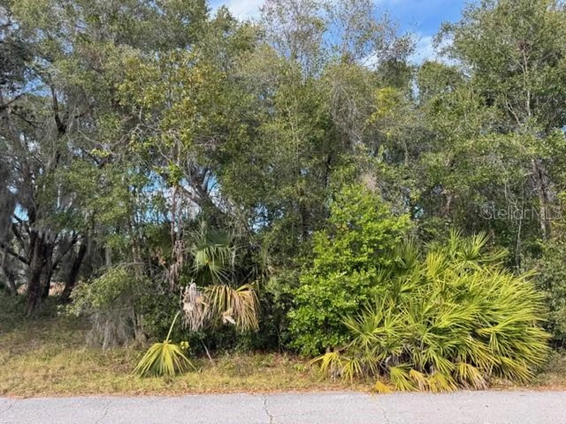 195 Lake Molly Avenue Deland FL 32724