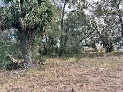 195 Lake Molly Avenue Deland FL 32724
