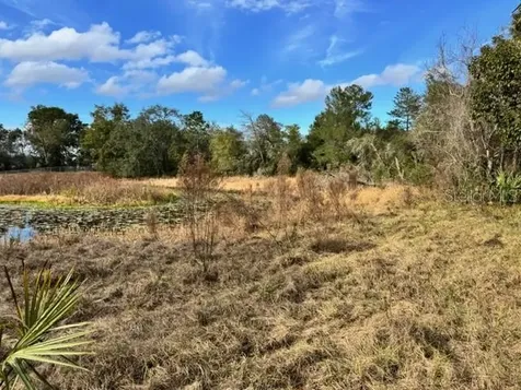 195 Lake Molly Avenue Deland FL 32724