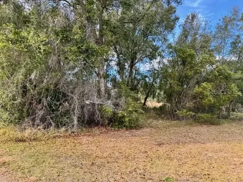 195 Lake Molly Avenue Deland FL 32724