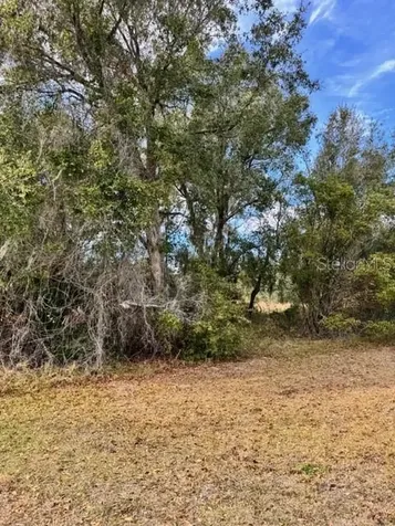 195 Lake Molly Avenue Deland FL 32724