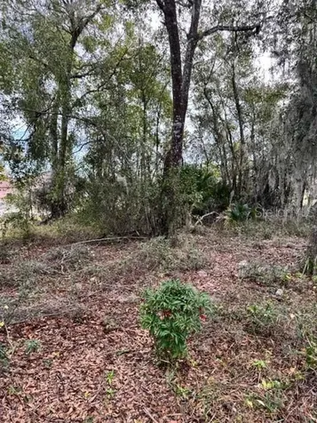 195 Lake Molly Avenue Deland FL 32724