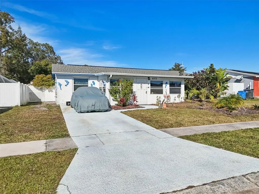 6503 Amundson Court Tampa FL 33634
