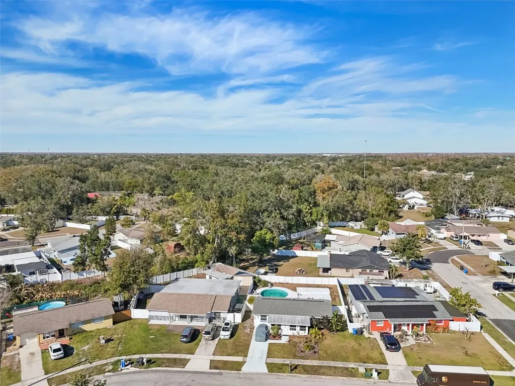 6503 Amundson Court Tampa FL 33634