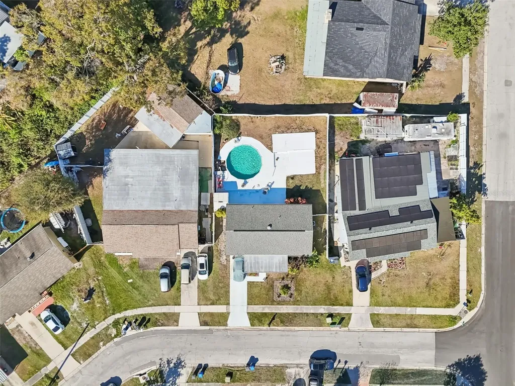 6503 Amundson Court Tampa FL 33634