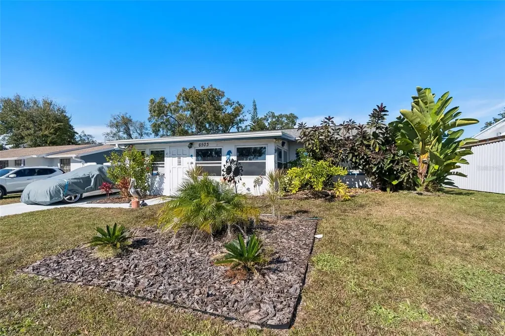 6503 Amundson Court Tampa FL 33634
