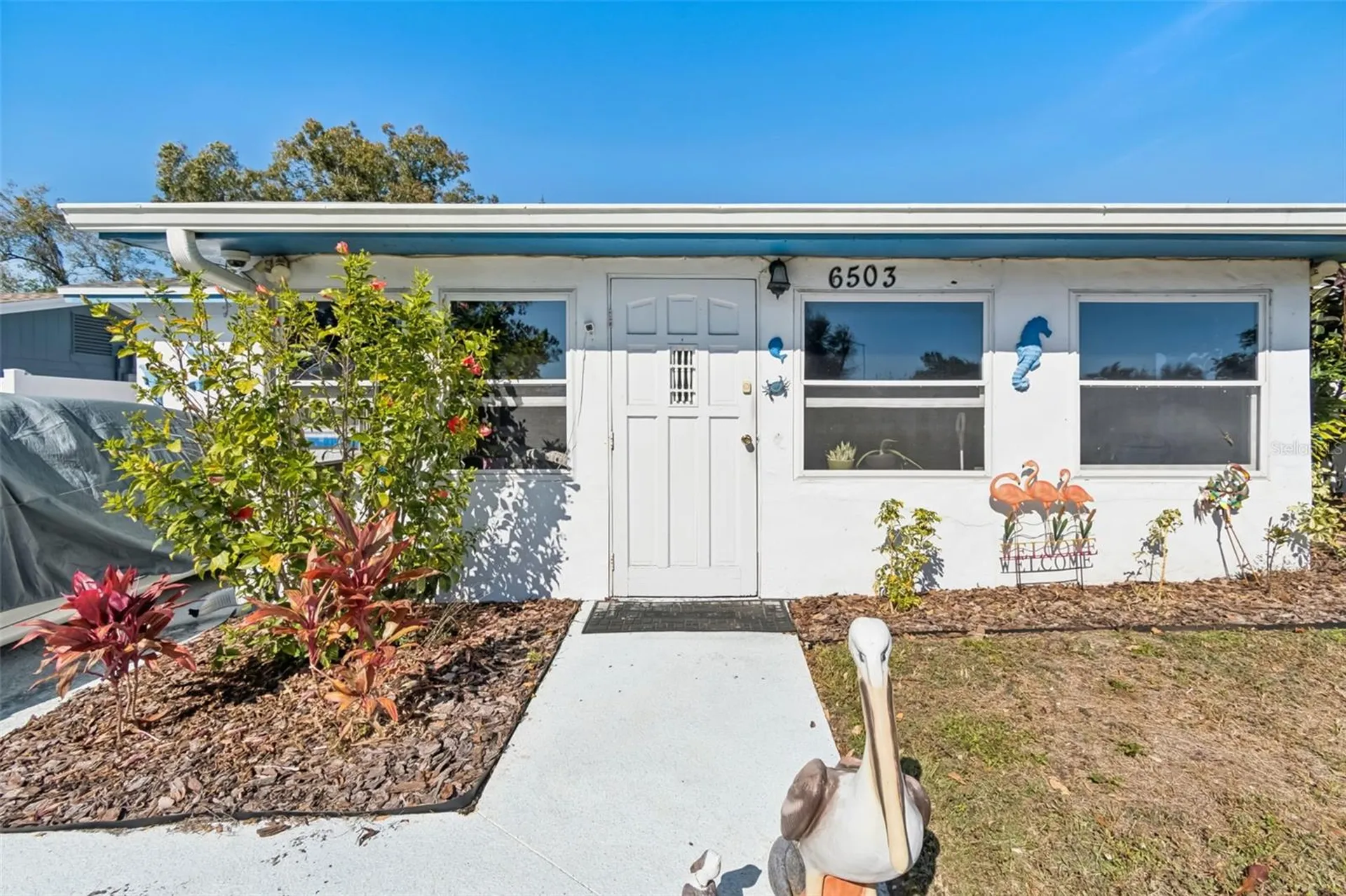 6503 Amundson Court Tampa FL 33634