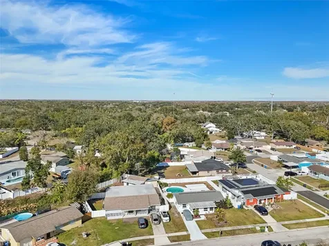 6503 Amundson Court Tampa FL 33634