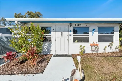 6503 Amundson Court Tampa FL 33634