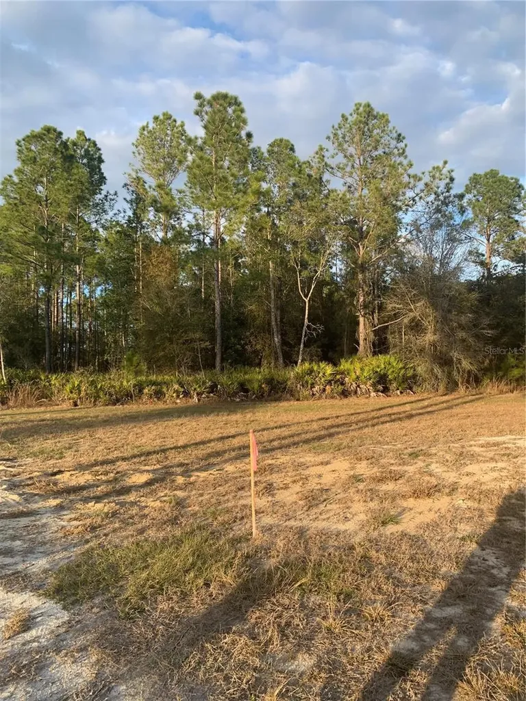 Oil Well Road Clermont FL 34714
