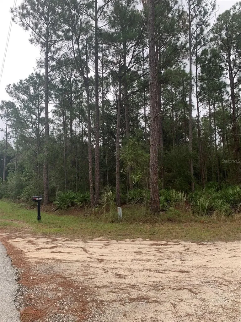 Oil Well Road Clermont FL 34714
