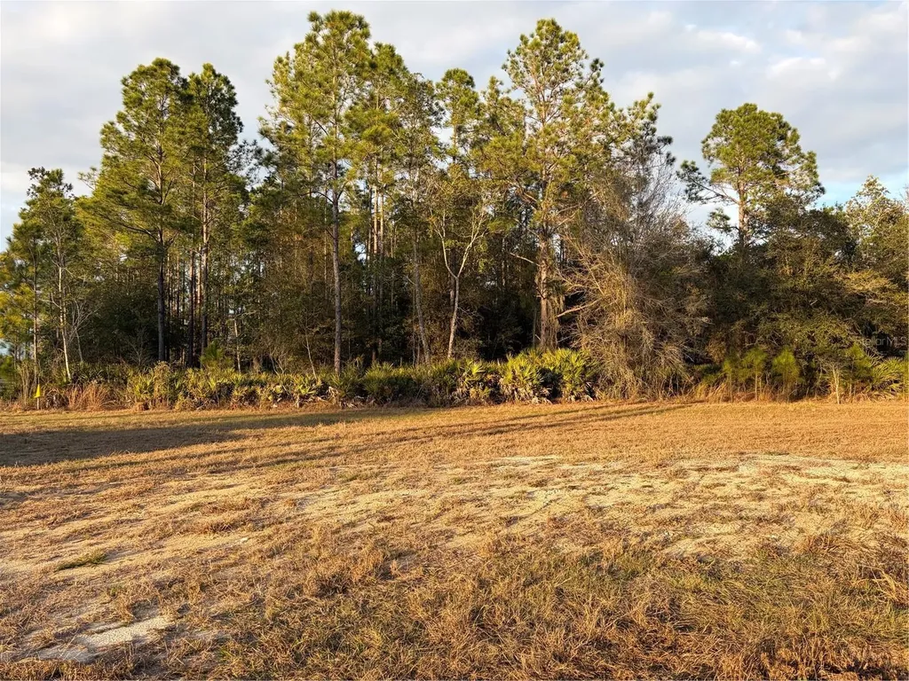 Oil Well Road Clermont FL 34714