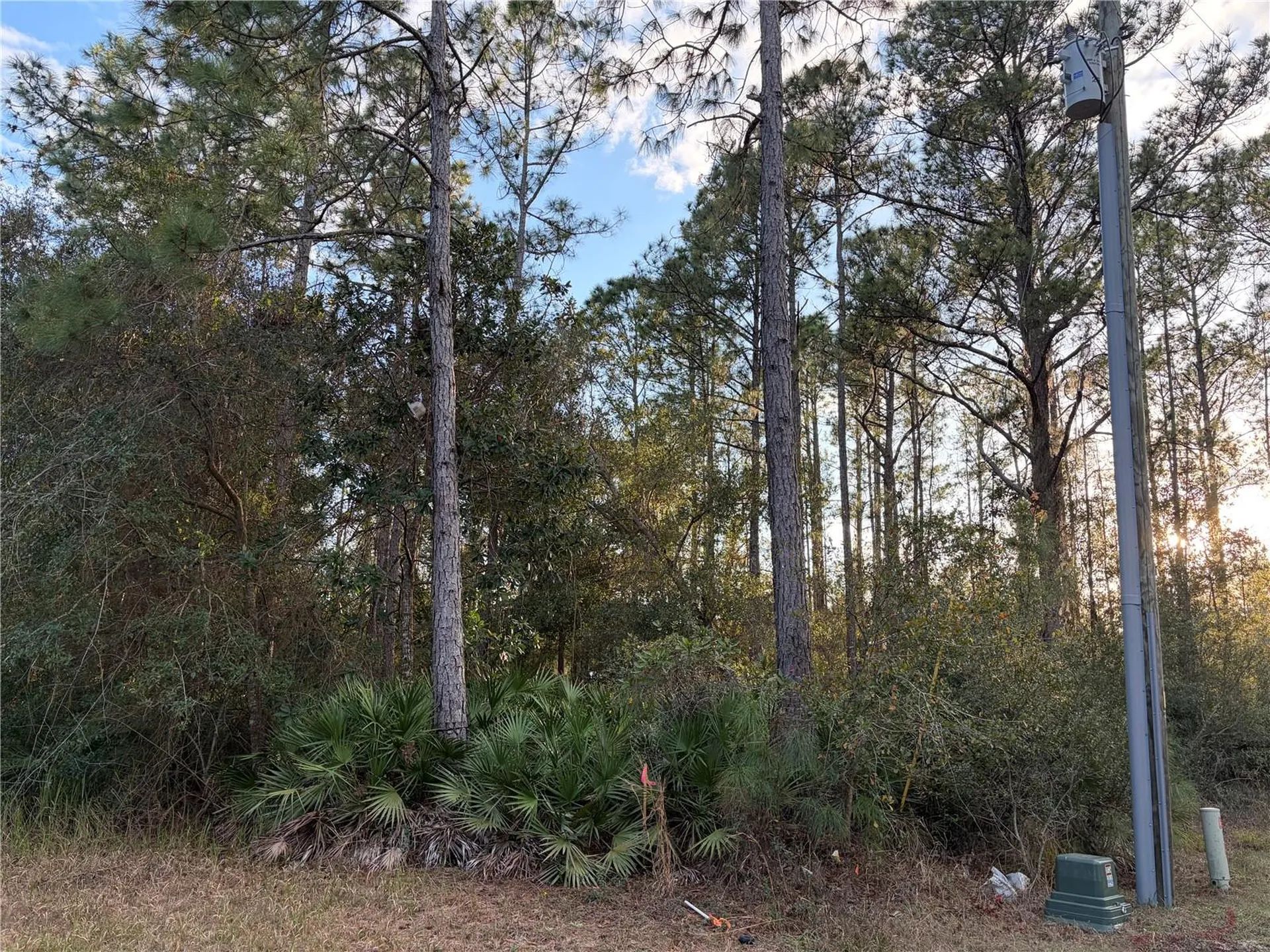 Oil Well Road Clermont FL 34714