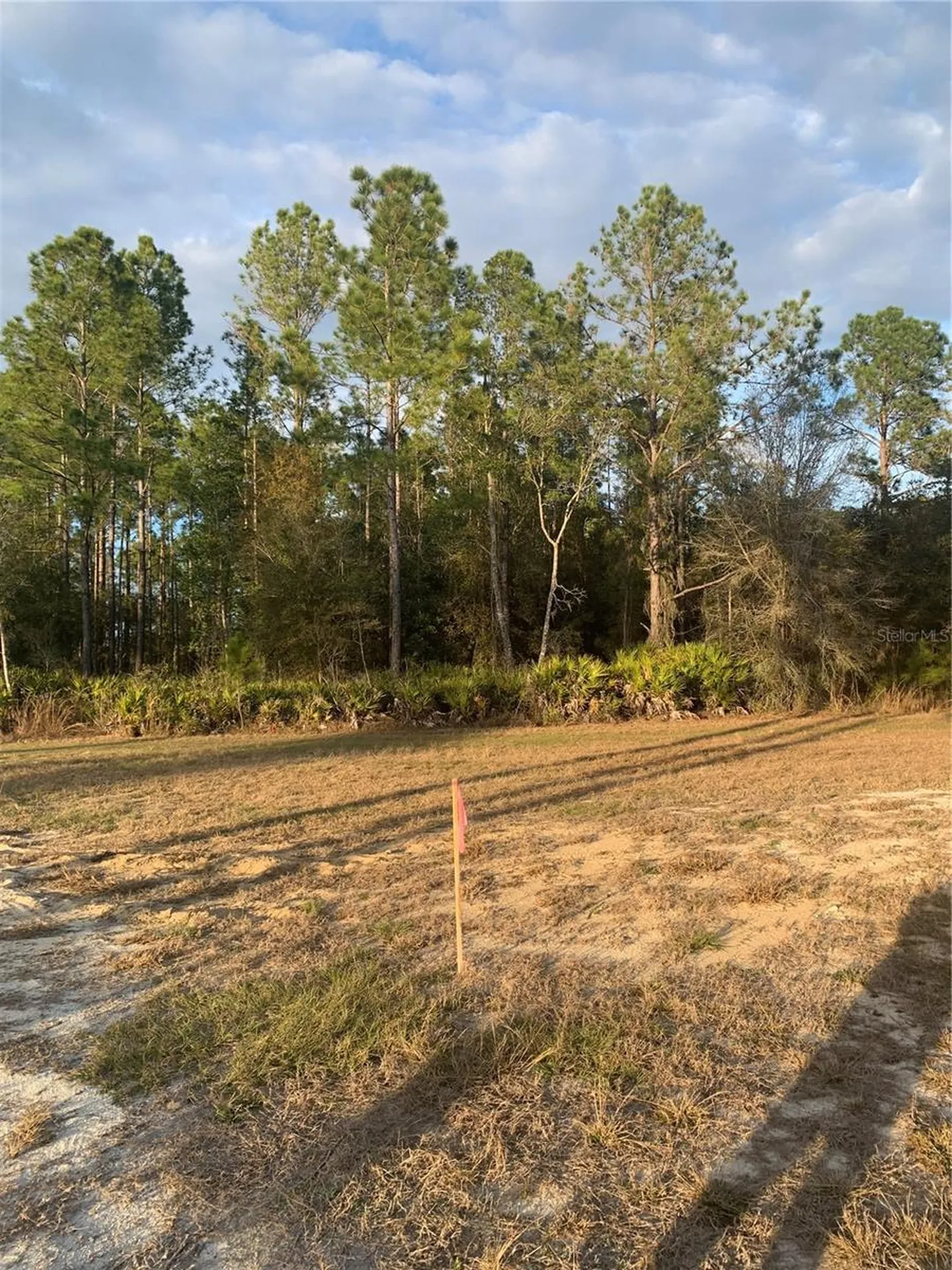 Oil Well Road Clermont FL 34714