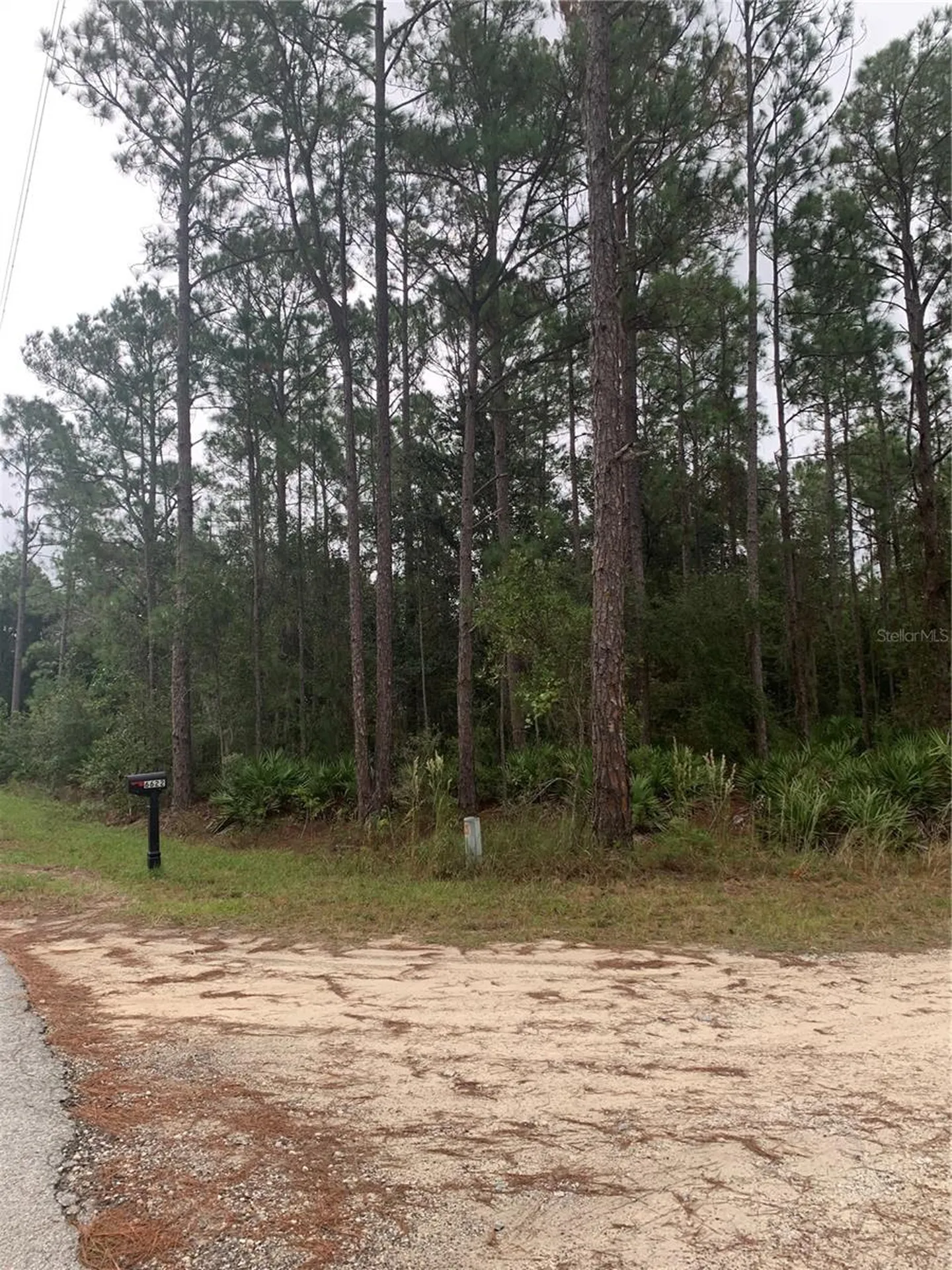 Oil Well Road Clermont FL 34714