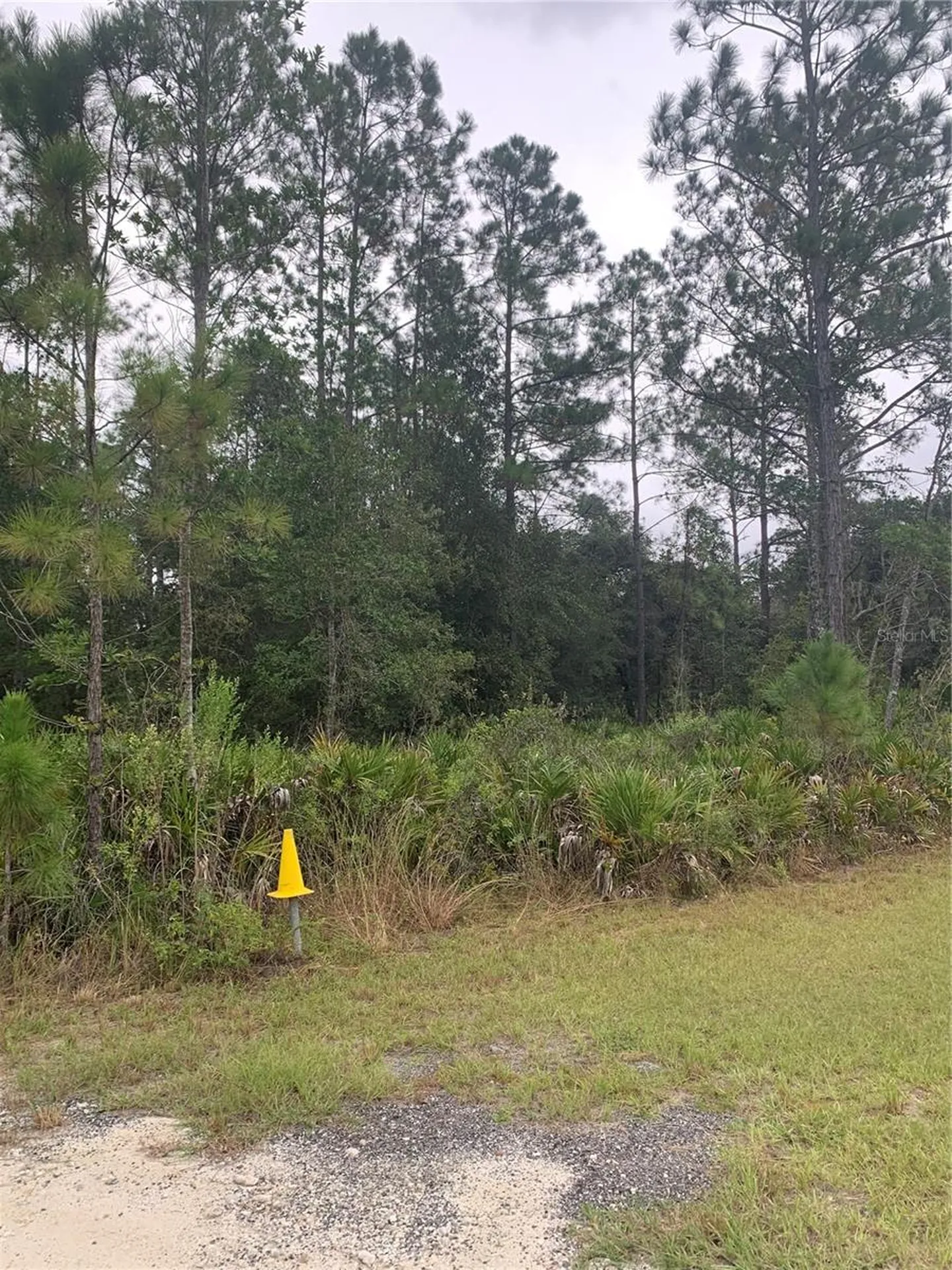 Oil Well Road Clermont FL 34714