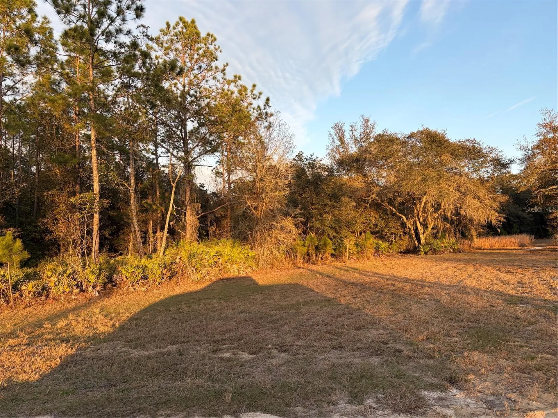 Oil Well Road Clermont FL 34714