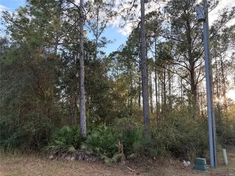 Oil Well Road Clermont FL 34714