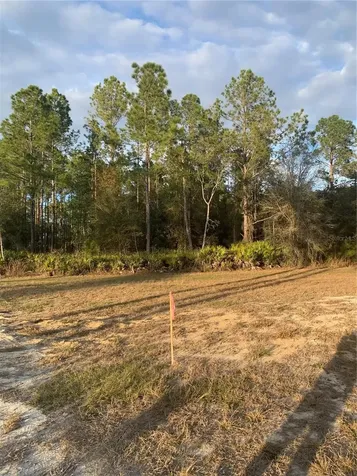 Oil Well Road Clermont FL 34714