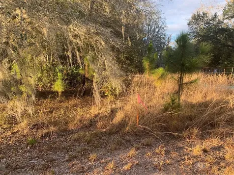 Oil Well Road Clermont FL 34714