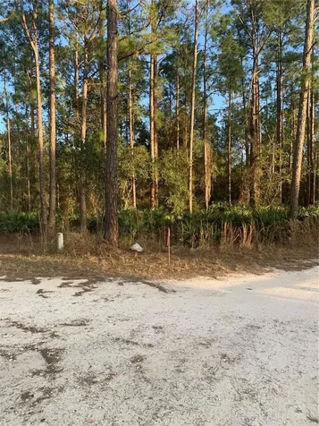 Oil Well Road Clermont FL 34714