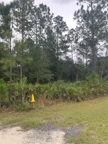 Oil Well Road Clermont FL 34714