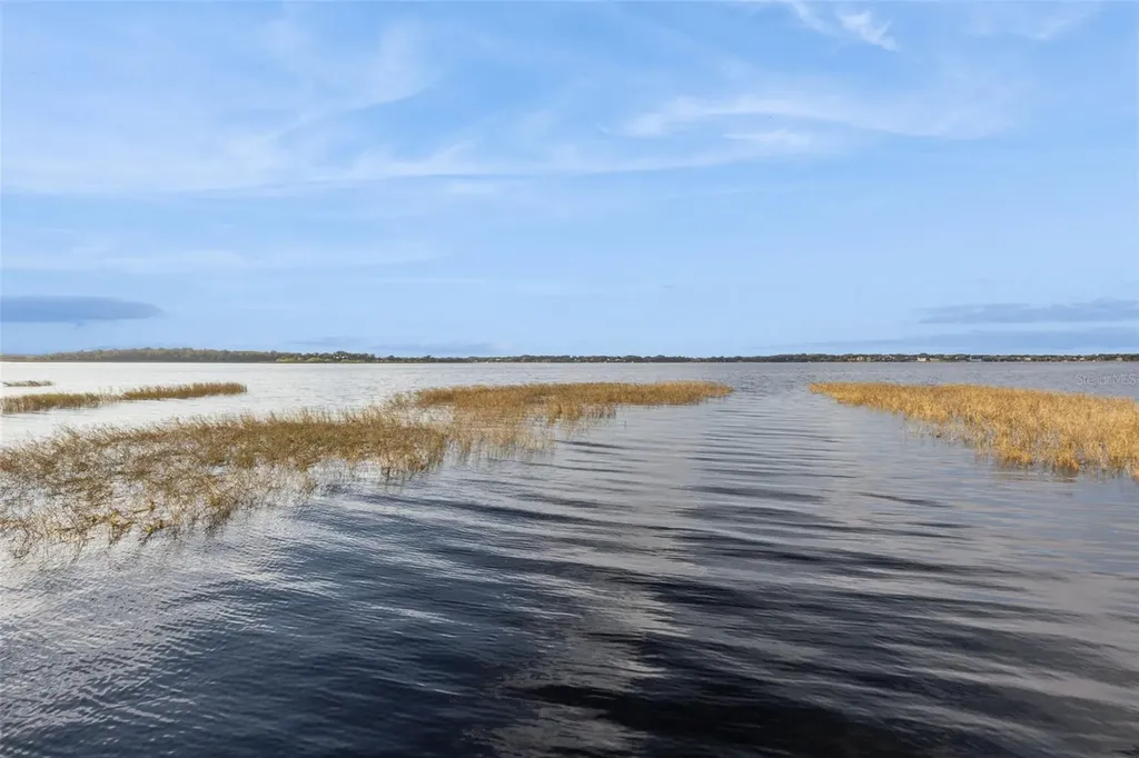 16038 Johns Lake Overlook Drive Winter Garden FL 34787