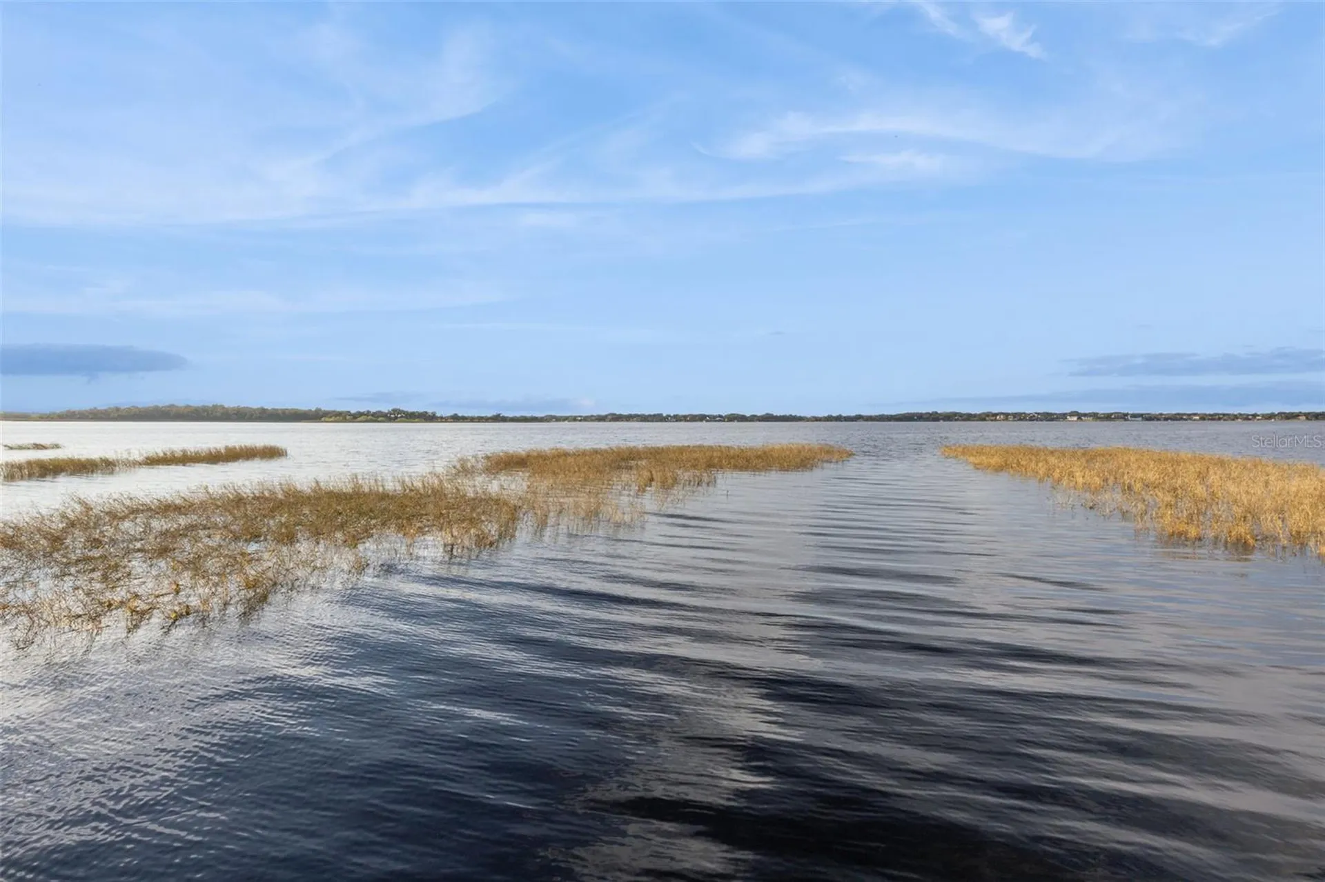 16038 Johns Lake Overlook Drive Winter Garden FL 34787
