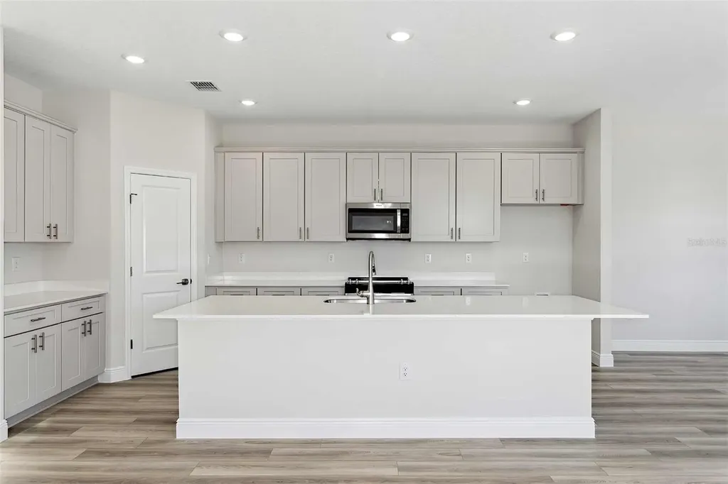 10322 Surrey Rose Drive San Antonio FL 33576
