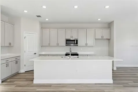 10322 Surrey Rose Drive San Antonio FL 33576