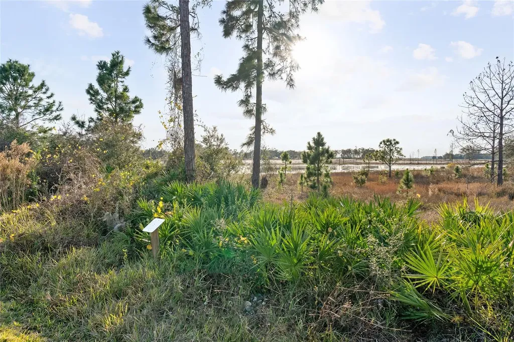 16975 Wingspread Loop Winter Garden FL 34787
