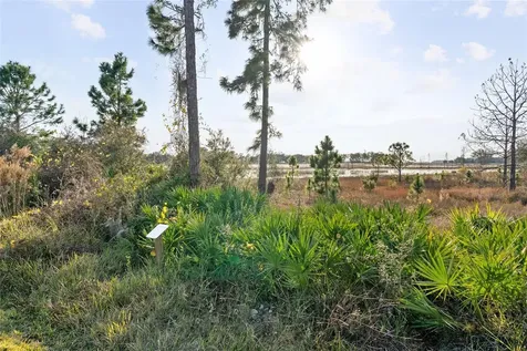 16975 Wingspread Loop Winter Garden FL 34787