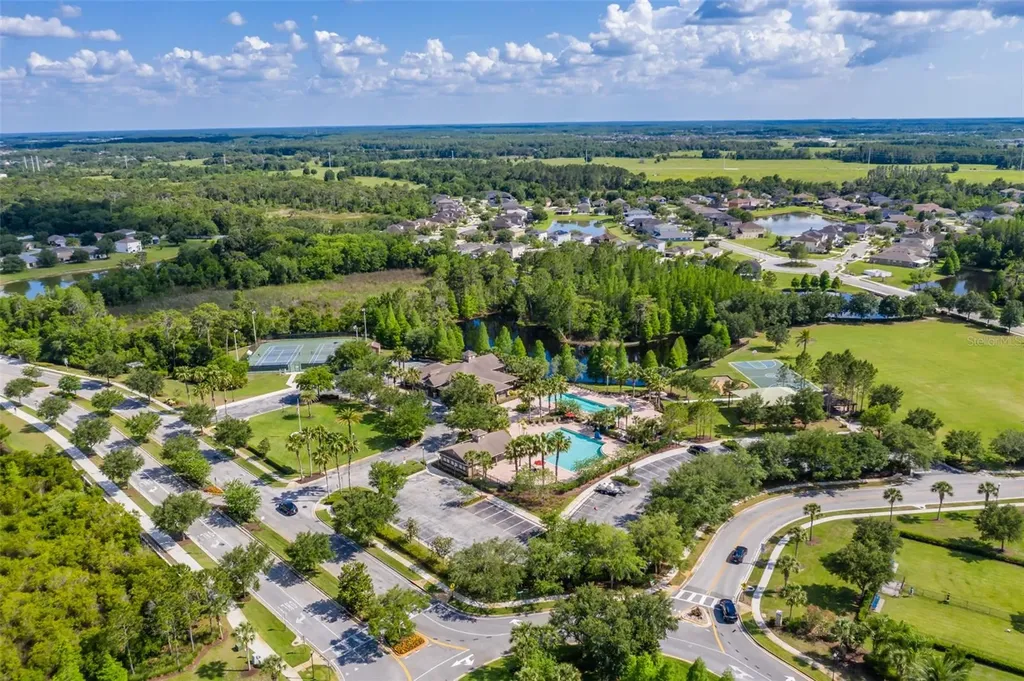 4950 Diamonds Palm Wesley Chapel FL 33543